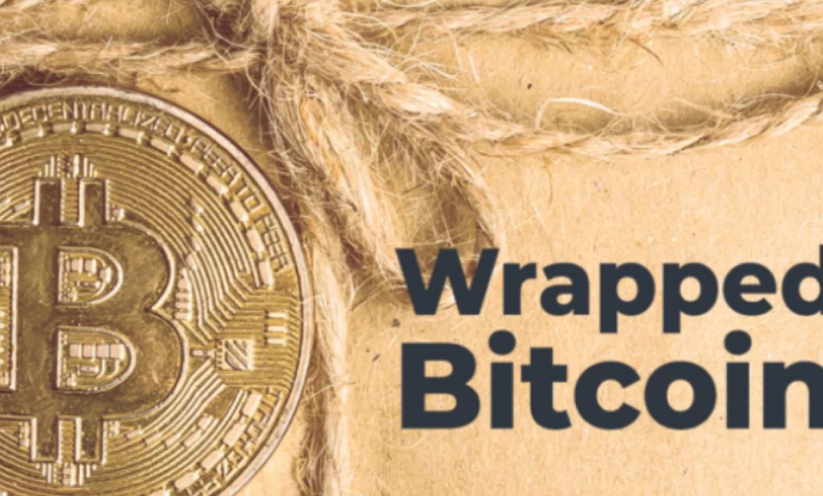 بیتگو رپد بیت کوین را بر روی Avalanche و BNB Chain عرضه می کند